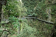Thumbnail of pic_Grassy_Yuen_340.JPG
