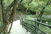 Thumbnail of pic_Grassy_Yuen_473.JPG