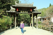 Thumbnail of pic_Grassy_Yuen_524.JPG