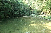 Thumbnail of pic_Grassy_Yuen_545.JPG