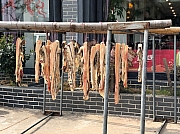 Thumbnail of pic_Peggy_Pang_003.jpg