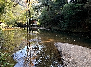Thumbnail of pic_Peggy_Pang_183.jpg