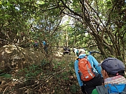 Thumbnail of pic_Thomas_Leung_103.jpg
