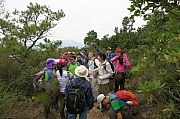 Thumbnail of pic_KL_Sin_004.JPG