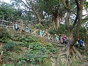 Thumbnail of PC240017.JPG