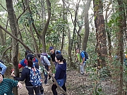 Thumbnail of pic_CL_Yip_007.jpg
