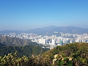 Thumbnail of pic_CL_Yip_004.jpg