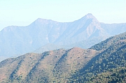 Thumbnail of pic_KL_Sin_008.jpg