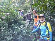 Thumbnail of pic_Wai_140.jpg