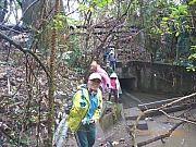 Thumbnail of pic_Wai_006.jpg
