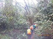 Thumbnail of pic_Wai_017.jpg