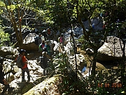 Thumbnail of pic_Sam_Ho_014.jpg