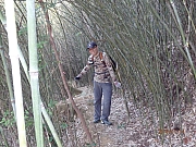 Thumbnail of pic_Thomas_Leung_036.jpg