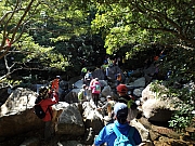 Thumbnail of pic_Thomas_Leung_073.jpg