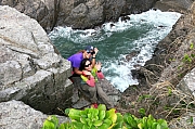 Thumbnail of pic_KL_Sin_071.jpg