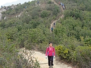 Thumbnail of P2040075.JPG