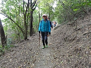 Thumbnail of P2040155.JPG