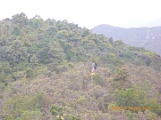 Thumbnail of pic_Wai_087.jpg