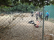 Thumbnail of pic_Thomas_Leung_129.jpg