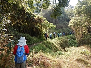 Thumbnail of pic_Billy_Wong_010.JPG