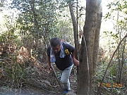 Thumbnail of pic_Sam_Ho_017.JPG