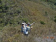 Thumbnail of pic_Sam_Ho_024.JPG