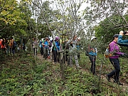 Thumbnail of P3250036.JPG
