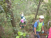 Thumbnail of pic_Wai_079.jpg