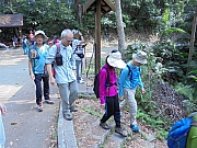 Thumbnail of P4010008.JPG
