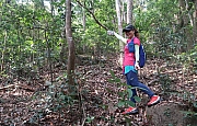 Thumbnail of pic_Tony_Tse_019.jpg