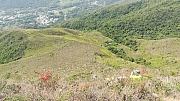 Thumbnail of pic_KC_Leung_020.jpg