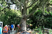 Thumbnail of pic_KL_Sin_004.jpg