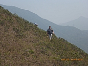 Thumbnail of pic_Wai_118.jpg