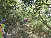 Thumbnail of pic_Wai_155.jpg