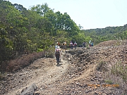 Thumbnail of pic_Wai_185.jpg