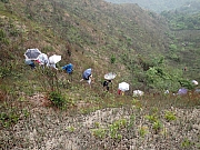 Thumbnail of P4150013.JPG