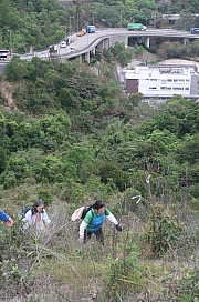 Thumbnail of pic_Tony_Tse_011.jpg