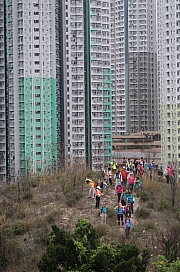 Thumbnail of pic_Tony_Tse_013.jpg