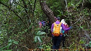 Thumbnail of pic_Billy_Lau_027.jpg