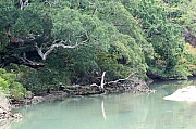 Thumbnail of pic_KL_Sin_003.jpg