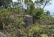 Thumbnail of pic_Tony_Tse_023.jpg