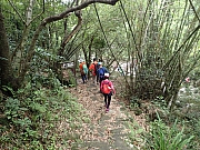 Thumbnail of P4290038.JPG