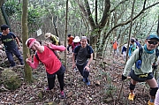 Thumbnail of pic_Tony_Tse_015.jpg