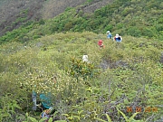 Thumbnail of pic_Sam_Ho_016.JPG
