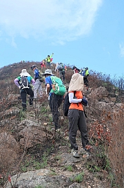 Thumbnail of pic_Tony_Tse_022.jpg