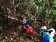 Thumbnail of P5130055.JPG