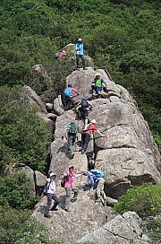 Thumbnail of pic_Tony_Tse_019.jpg