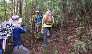Thumbnail of pic_Tony_Tse_023.jpg