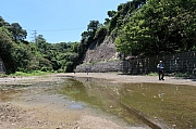 Thumbnail of pic_Tony_Tse_083.jpg