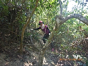 Thumbnail of pic_Wai_106.jpg